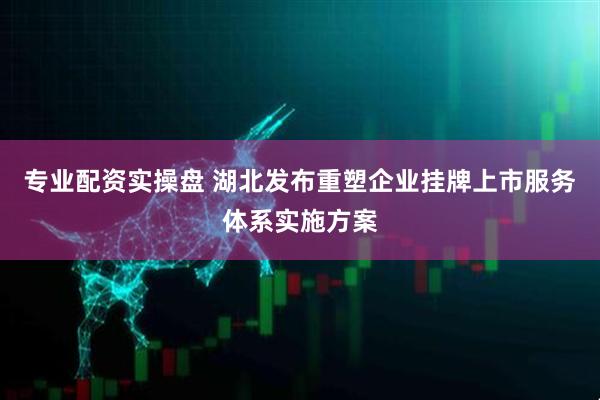 专业配资实操盘 湖北发布重塑企业挂牌上市服务体系实施方案