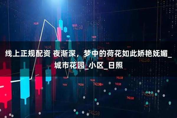 线上正规配资 夜渐深，梦中的荷花如此娇艳妩媚_城市花园_小区_日照