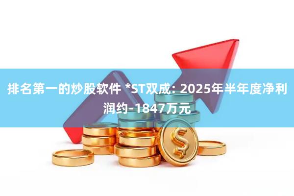 排名第一的炒股软件 *ST双成: 2025年半年度净利润约-1847万元